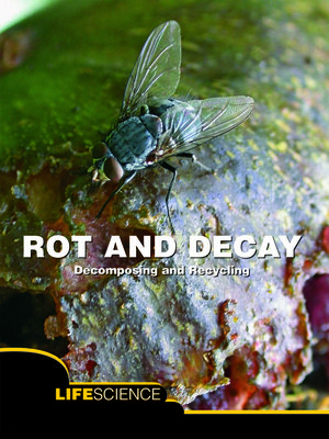 cover image of Rot and Decay